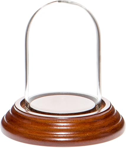 Miniatura 5 de Plymor Mini campana de cristal en forma de domo para exhibición, de 1.85 x 2.875 pulgadas
