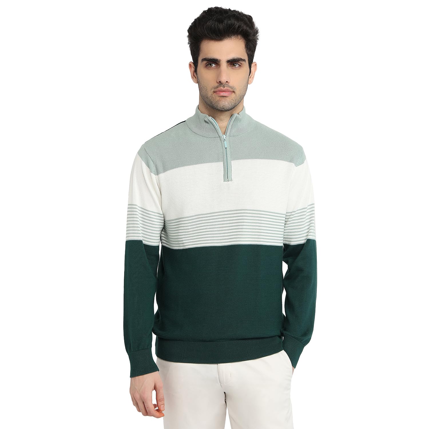 colorplus Men Regular Fit Jacquard Pattern Pure Cotton Full Sleeve Round Neck Casual Sweater-picture-12