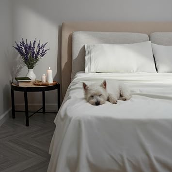 Mon Chateau Whisper Sheet Set, 4-Piece Medium Grey Microfiber Queen Sheets with Subtle 3-Line Embroidered Pillowcase Trim, Includes Fitted, Flat, and 2 Pillow Cases for Everyday Elegance, Fogstone