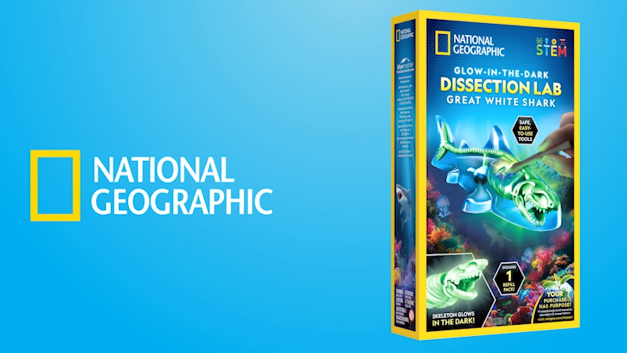 Amazon.com: National Geographic Shark Dissection Kit – Glow in the