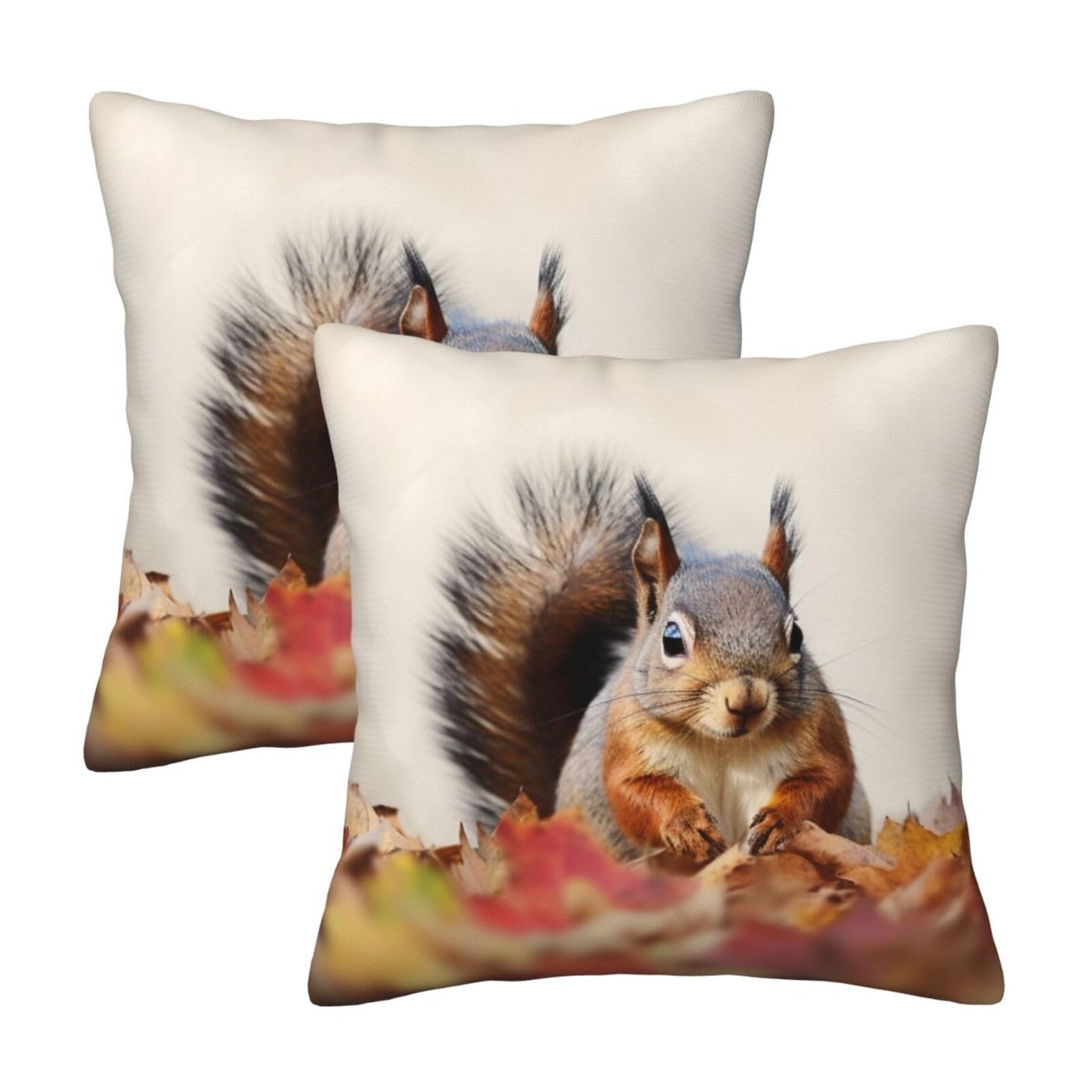 Animals Squirrel Throw Pillow Cases 2 Pack Square Pillowcases Soft Pillow Protectors for Couch Livingroom Sofa Bed Office Car,30x30 CM