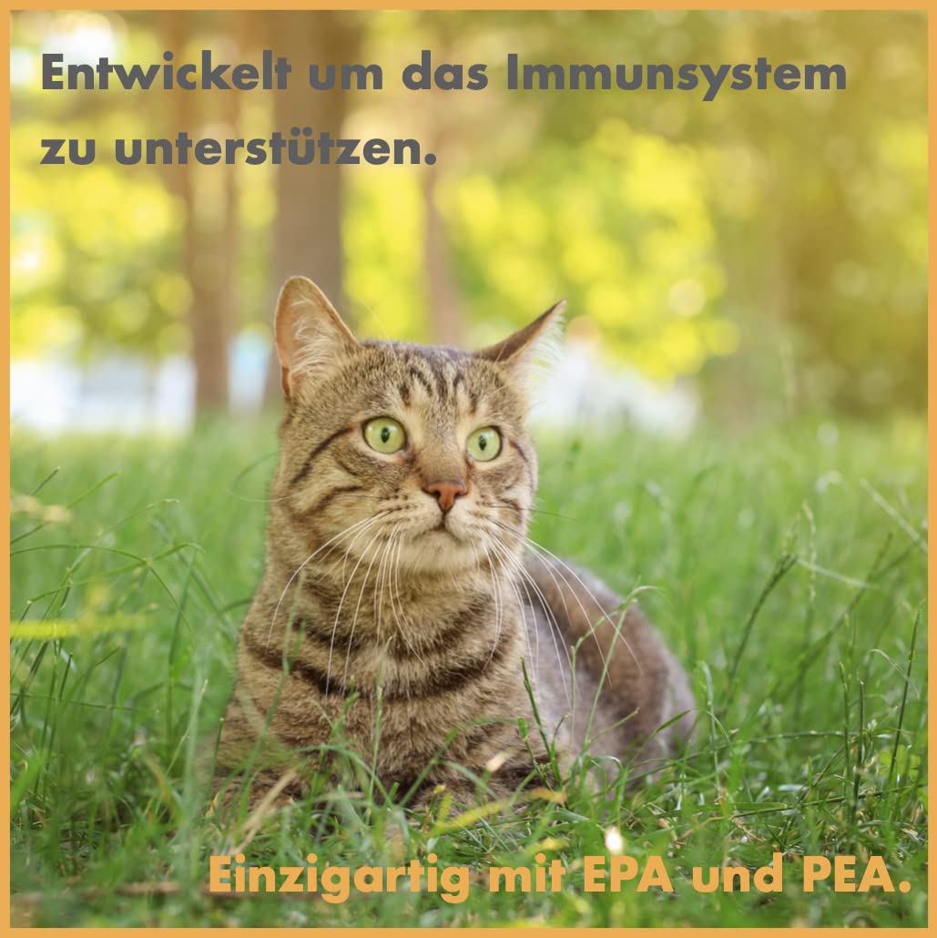 Immune | Booster zum Immunsystem stärken und modulieren, für Immunobalance | PEA und EPA in hoher Konzentration | bei Juckreiz, Allergien und Immun Problemen verträglich | Liquid mit 60 ml