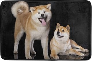 Amazon Aomoki 玄関マット ノーマット カーペット 泥落としマット 屋外用マット ギフト プレゼント 滑り止め 北欧 母の日 贈り物 40x60cm 柴犬 秋田犬 犬柄 玄関マット オンライン通販