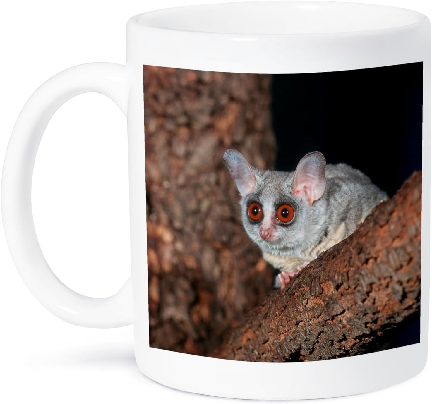 MUGSMAFIA Thick-Tailed Bushbaby, St Lucia Wetland, Kwazulu-Natal, South Africa Mug, Ceramic, White, 10.16 x 7.62 x 9.52 cm Printed Coffee and Tea Ceramic Mug- 320 ML Ceramic Coffee Mug 3263
