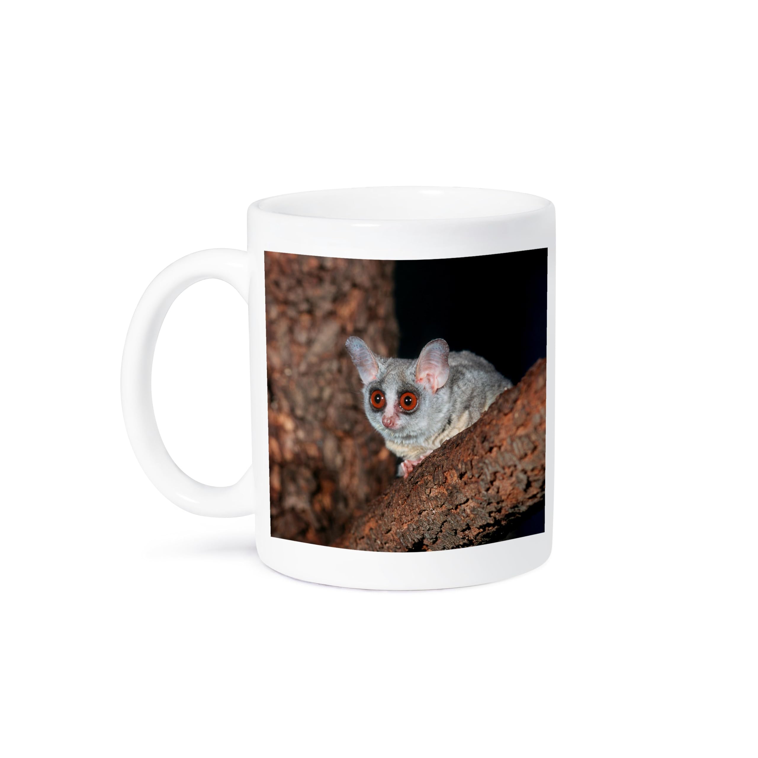 MUGSMAFIA Thick-Tailed Bushbaby, St Lucia Wetland, Kwazulu-Natal, South Africa Mug, Ceramic, White, 10.16 x 7.62 x 9.52 cm Printed Coffee and Tea Ceramic Mug- 320 ML Ceramic Coffee Mug 3263