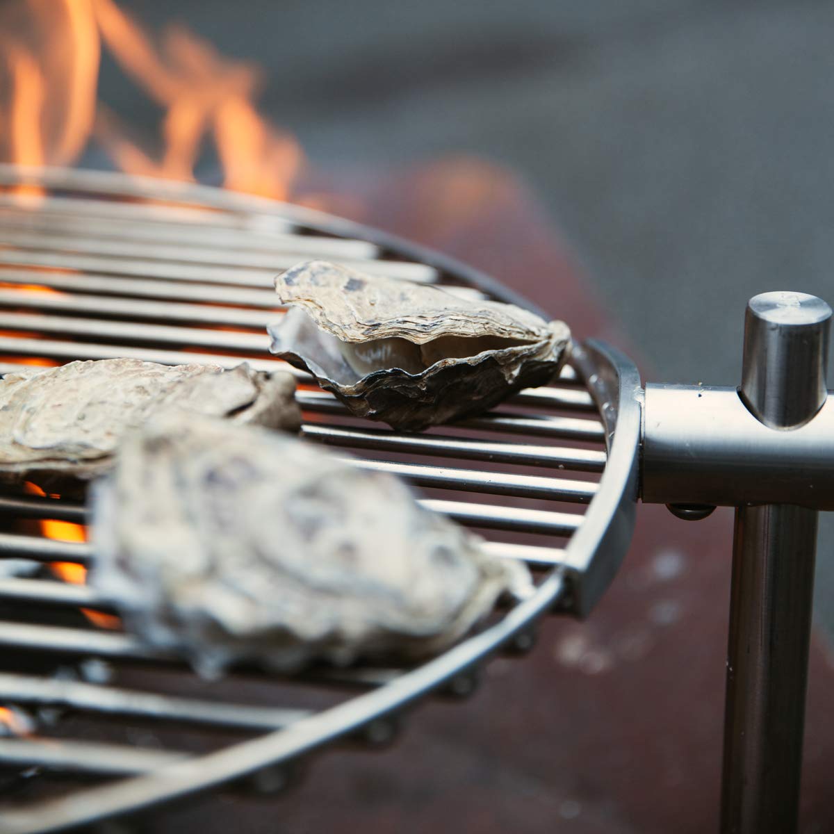 höfats - griglia Triple Grill 55 - trasforma Il focolare Triple in griglia - Regolabile in Altezza e orientabile - in Acciaio Inox - Rotondo - Accessori per Il focolare Triple