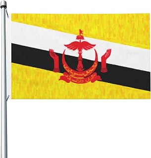 Double Sided Flag Of Brunei Oil Painted 3x5 Ft Decoration Flag Indoor Outdoor