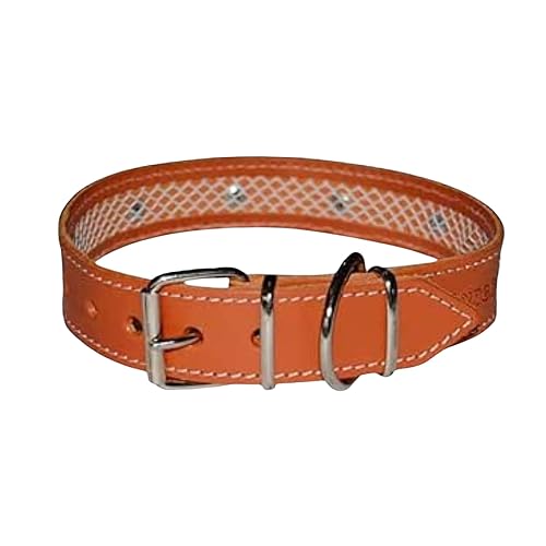 TUYNEC - Collar para Perros con Funda para Collar Antiparasitario Perros, Hecho a Mano con Cuero de Primera…