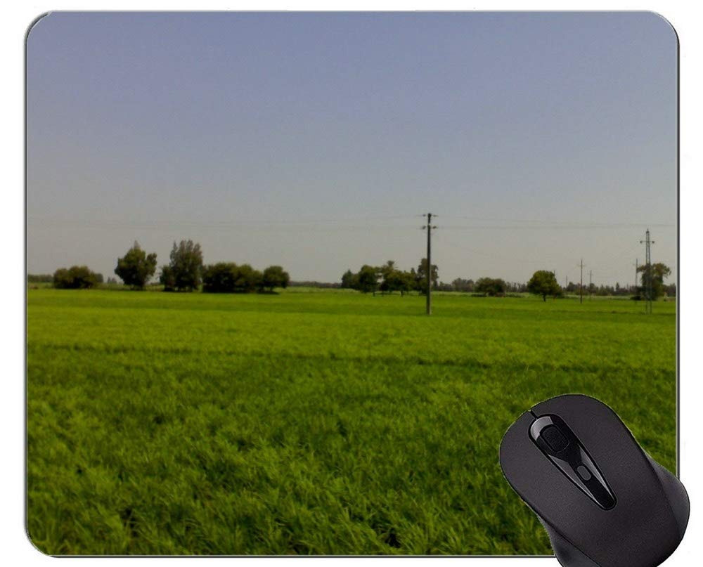 Mouse Pad With Locking Edge,Grass Egyptian Countryside Contryside Grass Gallery Office Mouse Pad