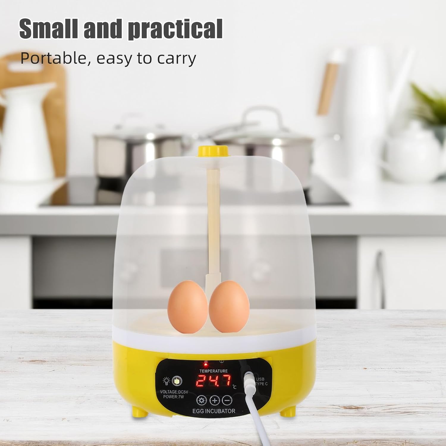 Angoily Automatic Egg Incubator for Hatching 4 Eggs with Temperature Control Portable Box USB Powered for Home Farm Use