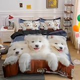 NDXRWDZR Funda Nordica Cama 150 Perro Samoyedo Blanco Colchas Cama 150 para Niños Adultos con Cremallera Suave Transpirable Microfibra Fundas Nordicas 240x220 cm + 2 Fundas de Almohada 50x80 cm