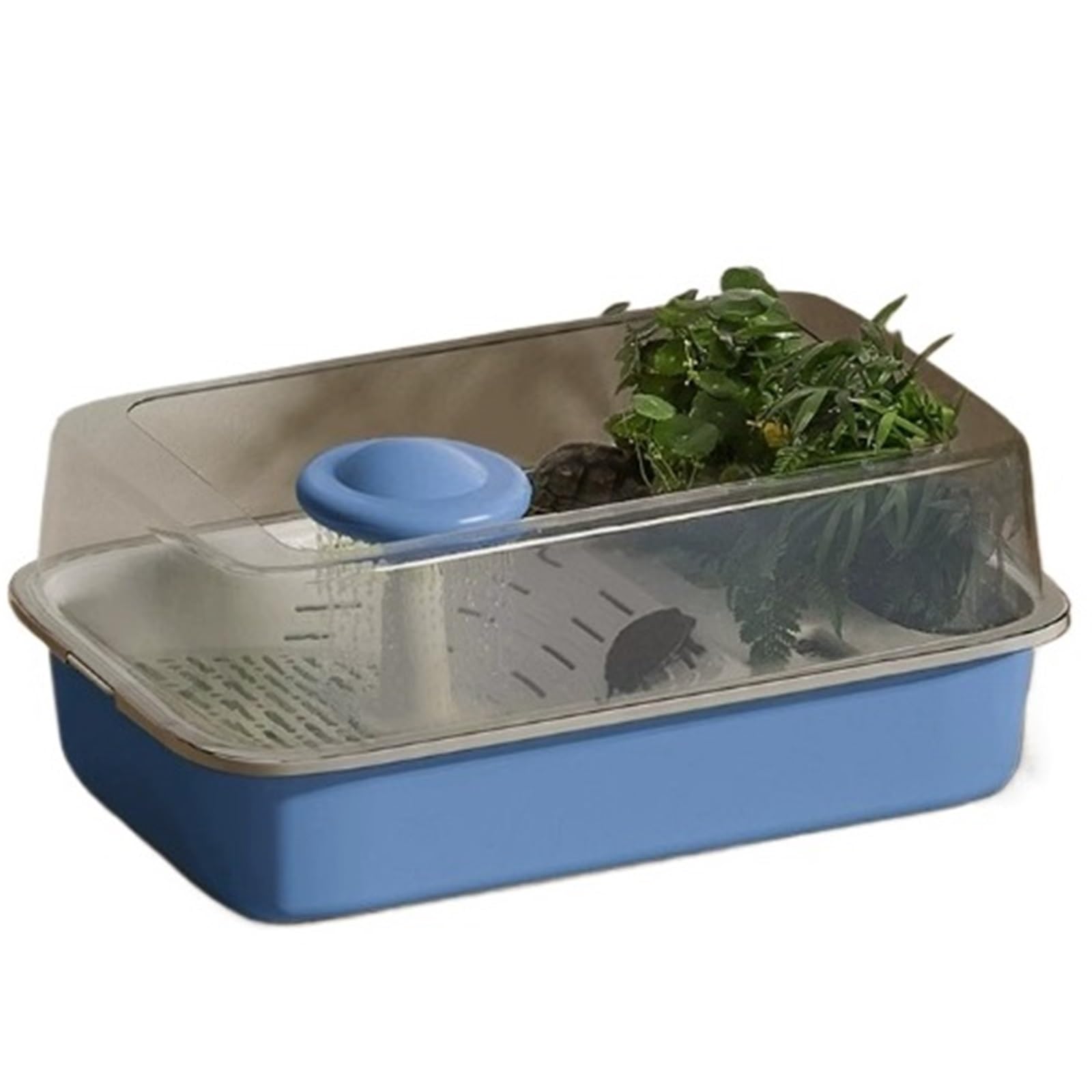Siedlisko terrarium Zbiornik do karmienia żółwi niebieskich z miejscem sadzenia prysznica użytku domowego Terrarium akwariowe