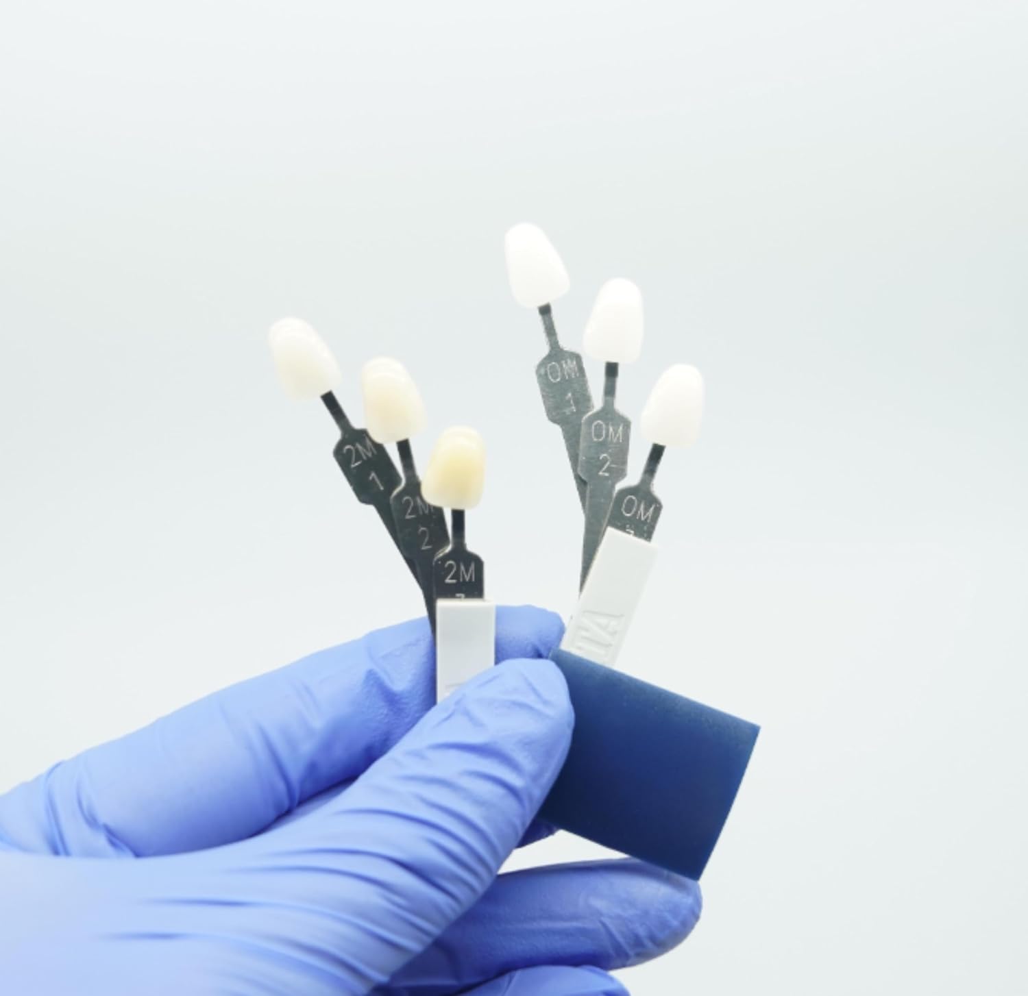 Dental Shade Guide 3D Master | 29 Colors Including Bleaching Shades for Veneers & Esthetics | Professional Tooth Color Matching Tool for Accurate Dental Shade Selection