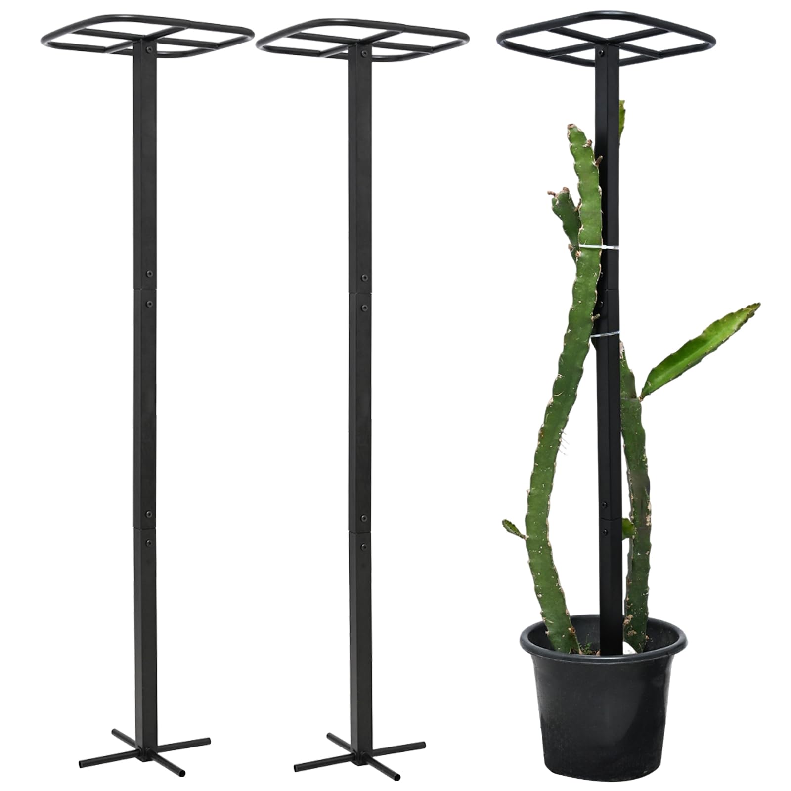 Goooxim 2-Pack 50 inch Dragon Fruit Trellis