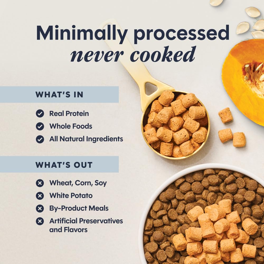 Instinct Freeze Dried Raw Boost Mixers Grain Free Digestive Health Recipe All Natural Cat Food Topper by Nature's Variety, 5.5 oz. Bag