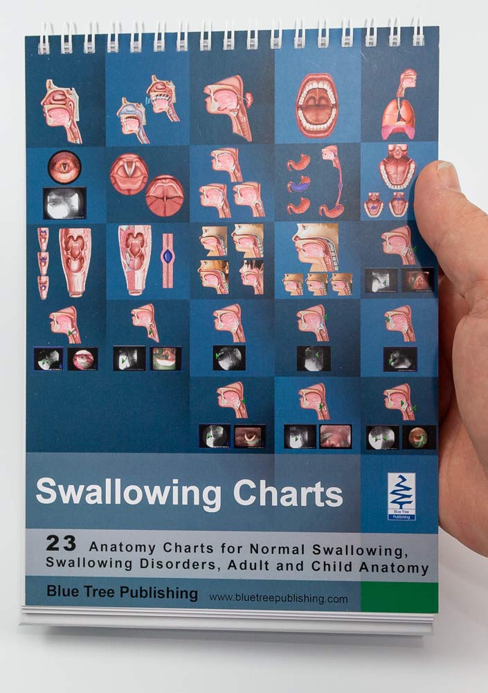 Blue Tree Publishing Swallowing anatomy education (8 x 6 inch desk flipchart)