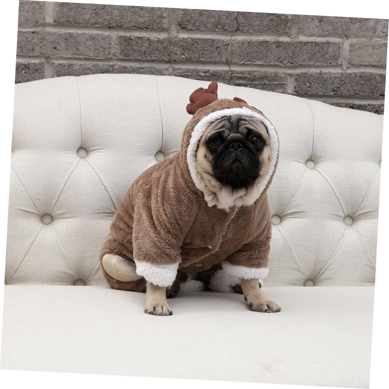 BESPORTBLE 2 Pz felpa invernale costume da pirata per cani cucciolo di gattino inverno del cane abbigliamento per animali domestici cappotto invernale vestiti per cani