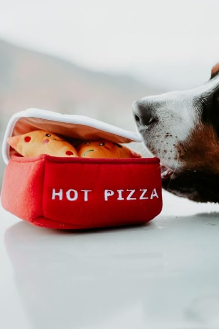 Foto 6 de 7 de Zippy Burrow™ - Pizzaschachtel
