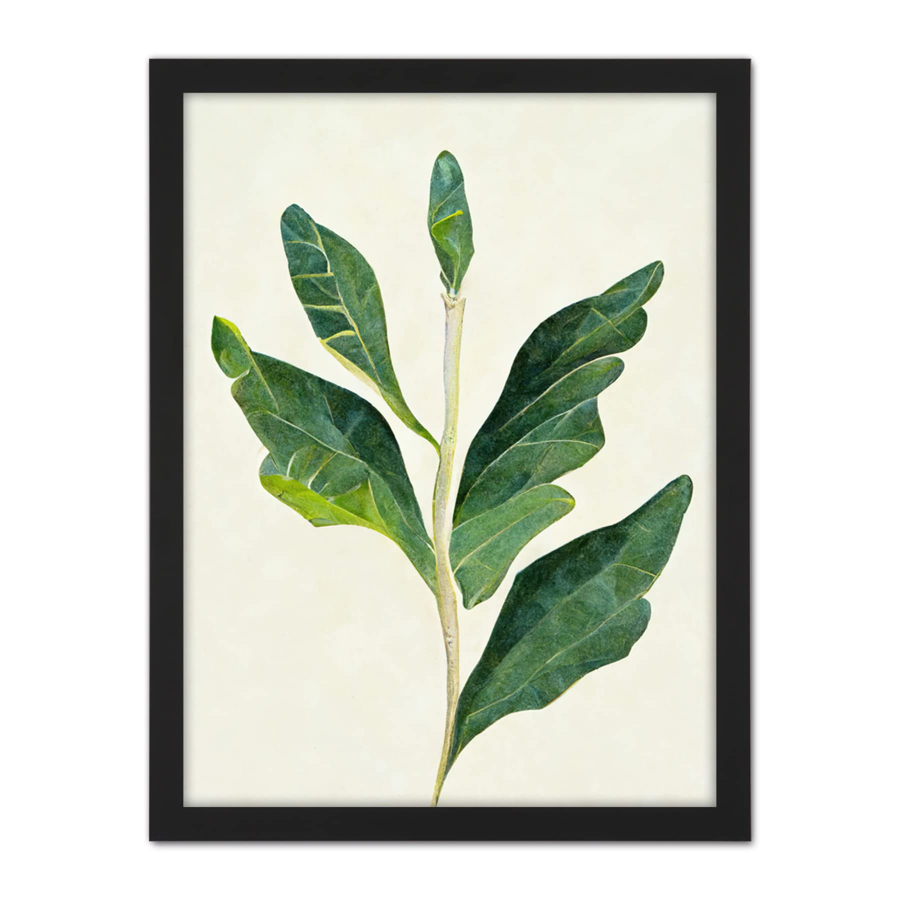 Doppelganger33 LTD Detail Of Rubber Fig Plant Botanical Illustration Artwork Framed Wall Art Print 18X24 Inch
