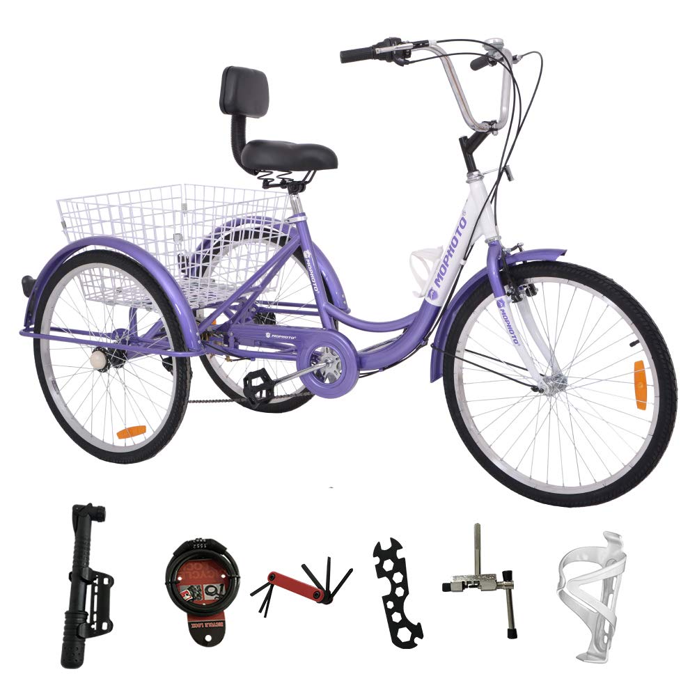 schwinn pioneer bike