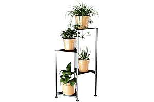 3 Tier Plant Stand: Bring Life to Your Space
