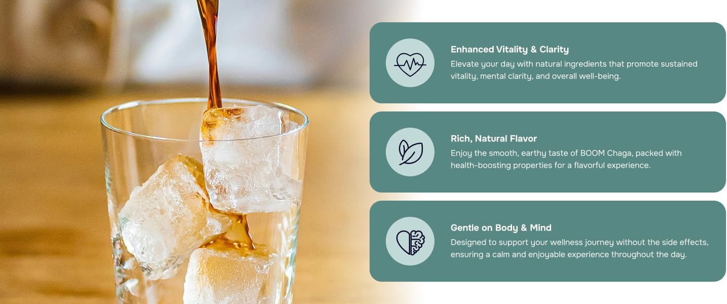 Mushroom Superdrink | Chaga Mushroom Extract Liquid Concentrate with Antioxidants for Immunity Boost, Beta-Glucans for Heart Health, Oxalate-Free, 31 Single-Serving Packets