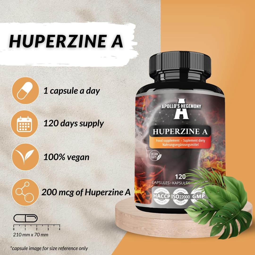 Huperzine A 200 mcg dans chaque gélule - 120 gélules végétaliennes - 4 mois d'approvisionnement pour le soutien cognitif - Huperzia serrata Extract - Diet Supplement by Apollo's Hegemony