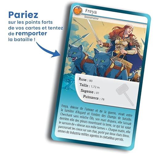 Jeu classique Bioviva Défis Nature Mythes Vikings - vue 5