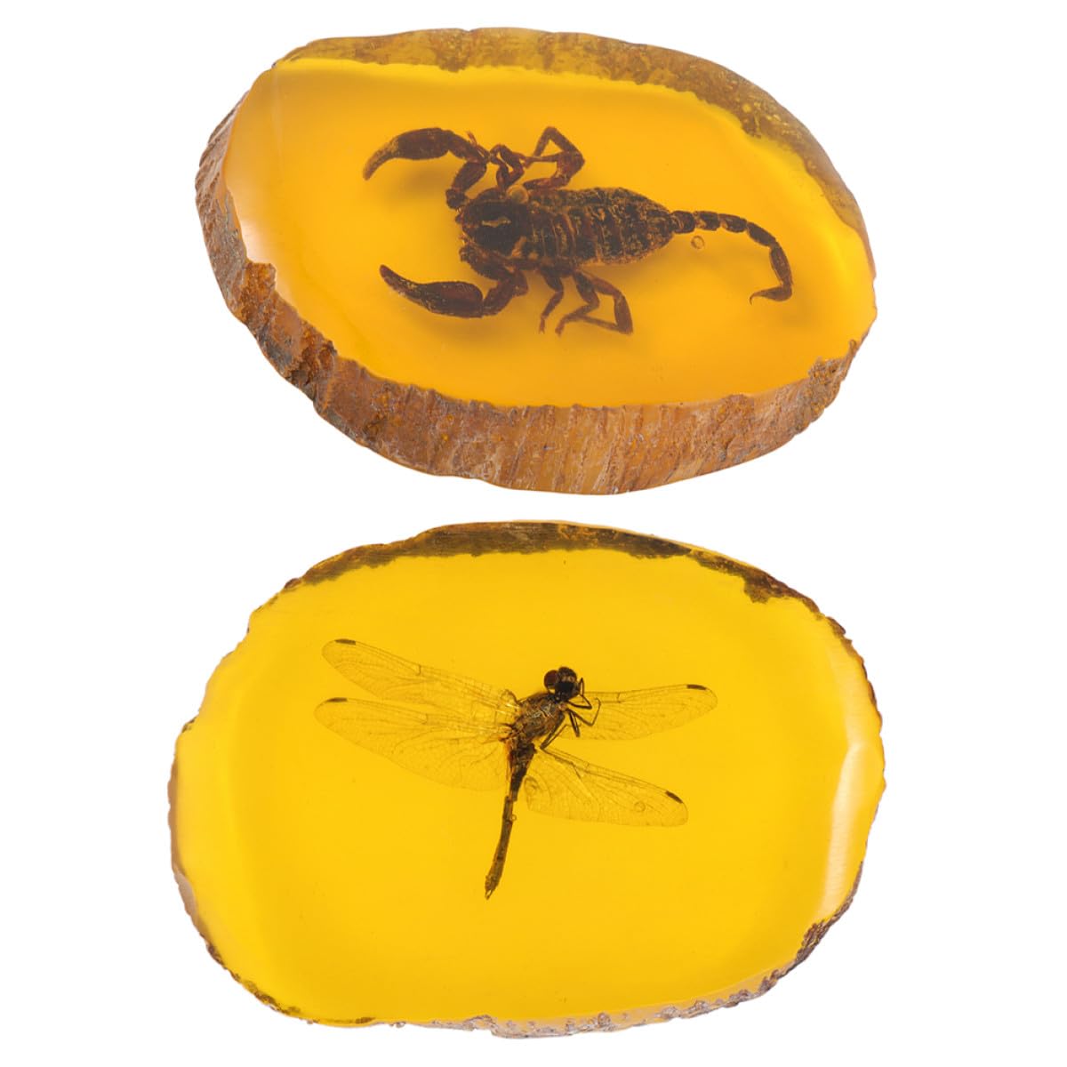 Breloques ambre artificiel résine pour réussir facilement vos bijoux faits main - 8