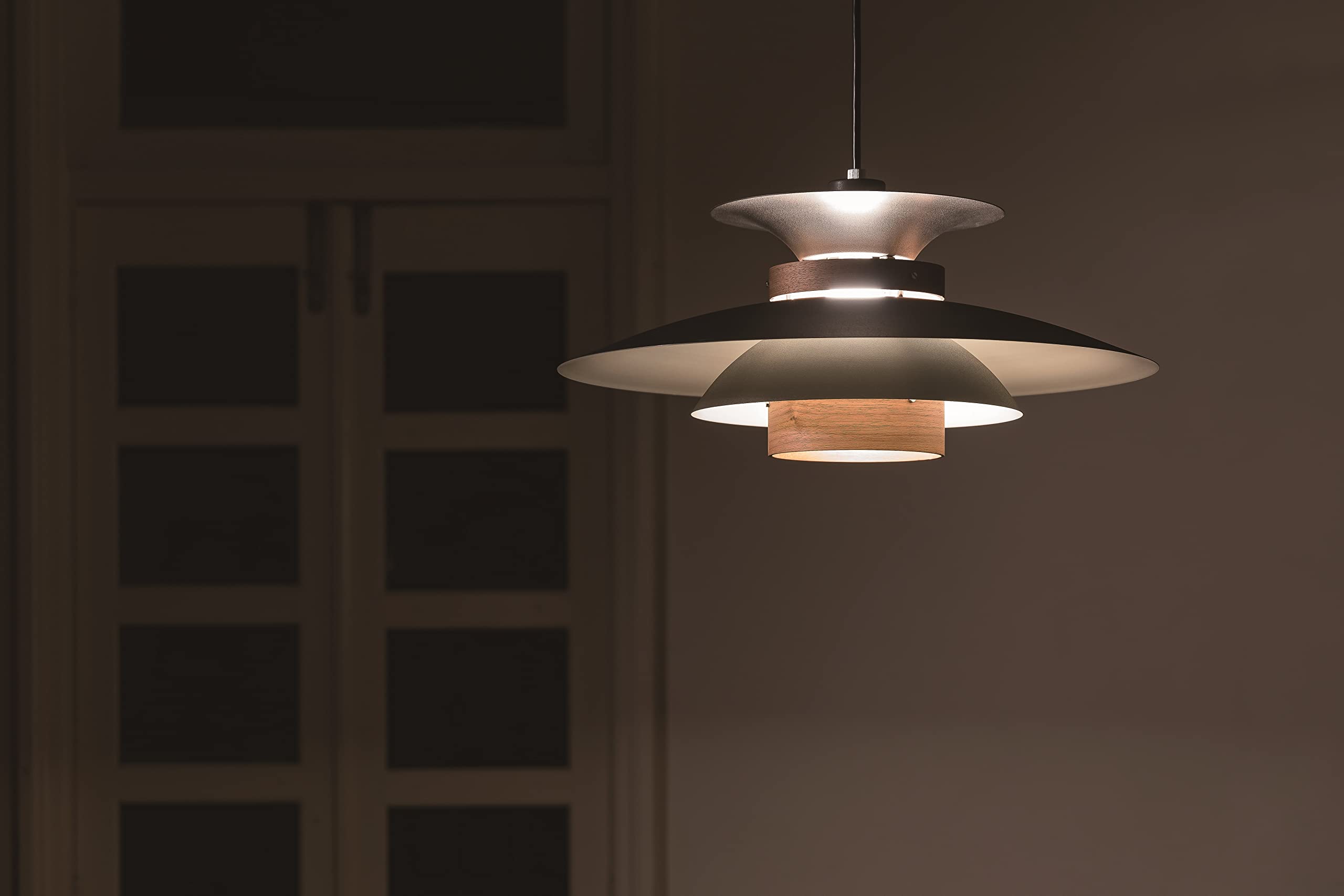 Amazon.co.jp: インターフォルム ペンダントライト LT-7441WA