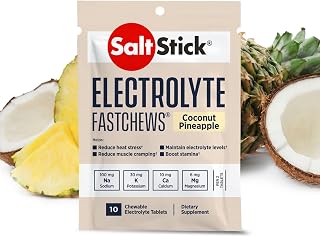 SaltStick FastChews, Electrolyte Replacement Tablets for Rehydration, Exercise, Hiking & Sports Recovery, 12 Packets of 10 FastChews Tablets, Coconut Pineapple