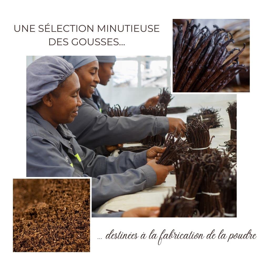 Vaniglia in polvere naturale al 100% da baccelli di vaniglia interi freschi schiacciati, vaniglia borbone del Madagascar, confezionato in un barattolo da 20 g
