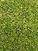 Produktbild Kunstrasen Wimbledon mit Drainage 200x300 cm