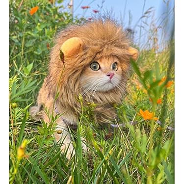 AMAZON - Lion Mane Costume for Cat, Cat Clothes Lion Mane Wig Funny Cat Halloween Costumes, Lion Costume for Cats and Kittens, Ideal for Halloween, Cat Birthday, Cat Cosplay, Cat Outfits