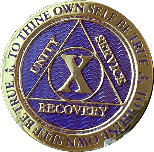10 Year Aa Medallion Reflex Purple Color Gold Plated Chip #TOP11