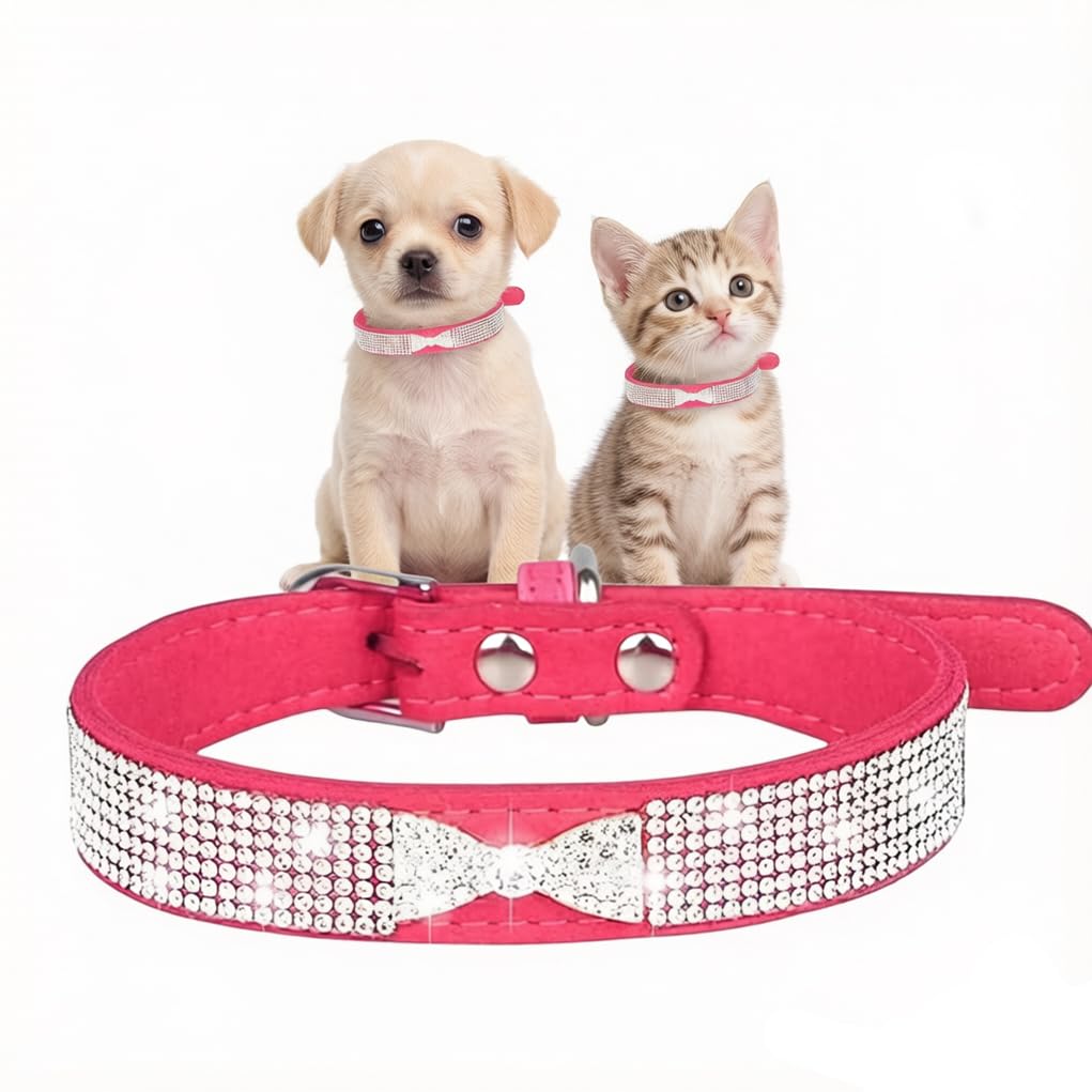 Collar de gato con diamantes de imitación y acabados de lujo S