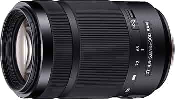 SONY DT55-300F4.5-5.6SAM　SAL55300 Sony DT 55–300 mm F4.5–5.6 SAM Lens | SAL55300