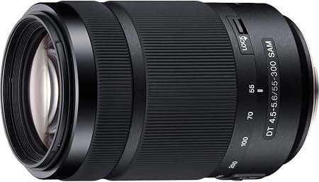 Amazon.com: Sony 16-80mm f/3.5-4.5 Carl Zeiss Vario-Sonnar T DT
