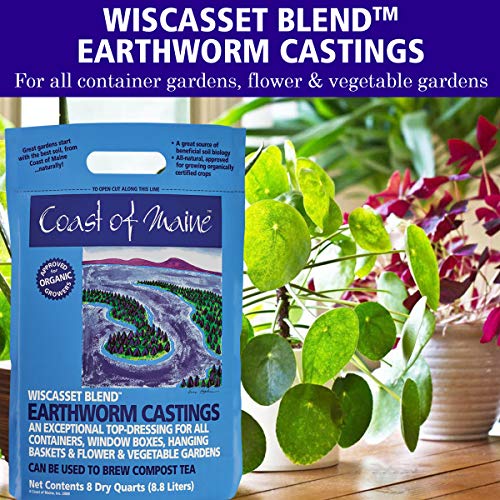 Coast Of Maine Omri Listed Wiscasset Blend Earthworm Castings Compost Plant Potting Soil Blend For Container Gardens And Flower Pots, 8 Quart Bag #TOP5