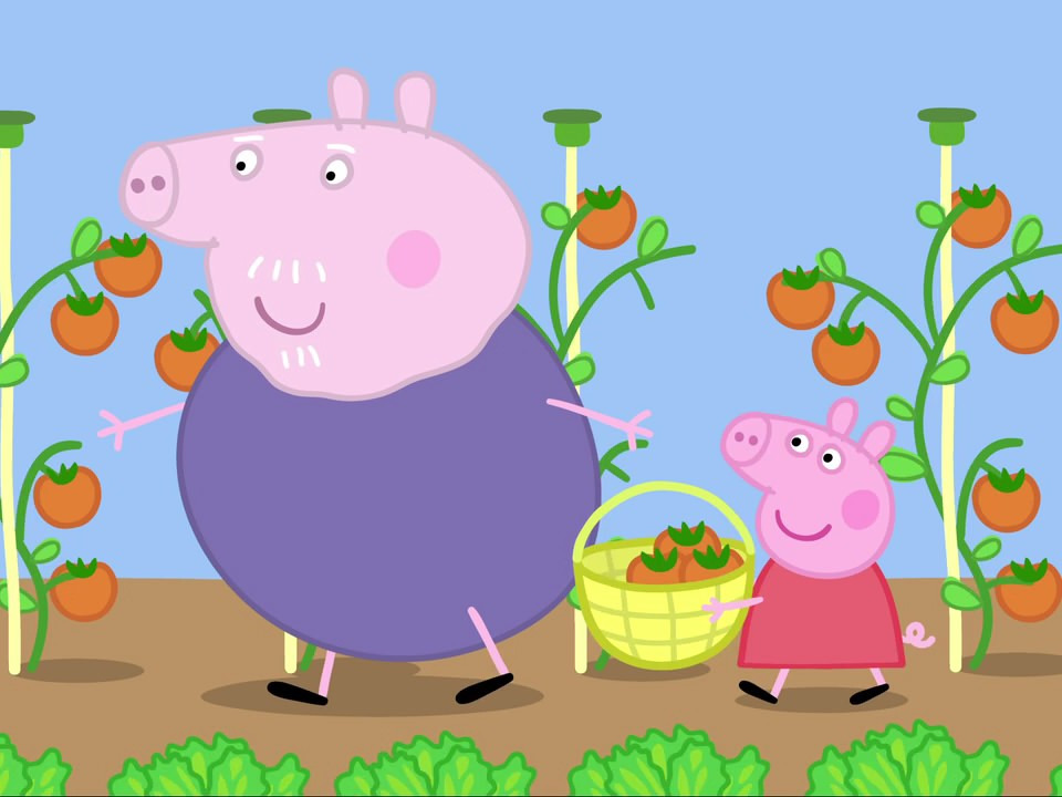 Schweinchen in der Mitte / Salat