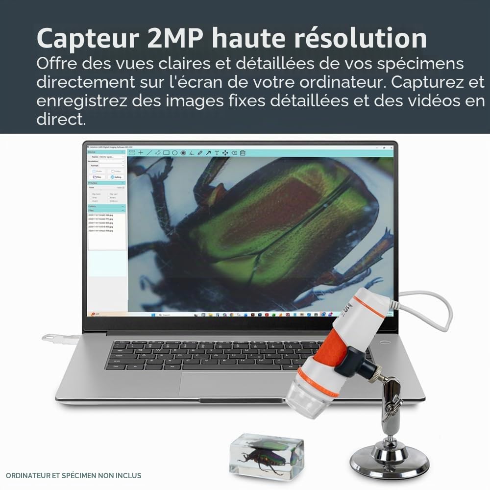 Celestron Deluxe 44302-C Microscope numérique portatif, Gris