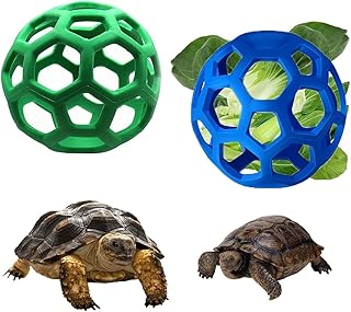 FORZENA Tortoise Vegetable Interactive Container
