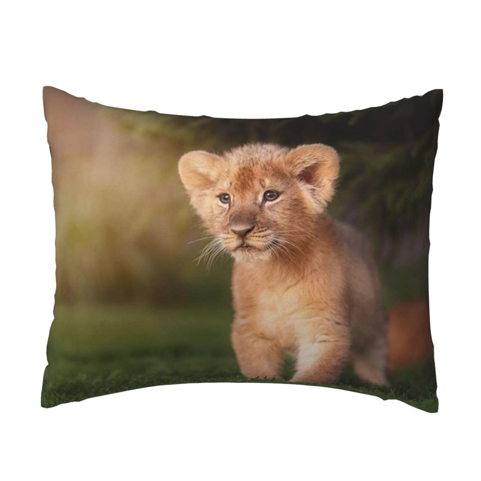 WSHFFILO Art Lion printed Pillow Case 20x26in Decorative pillowcase Throw Pillow Cover