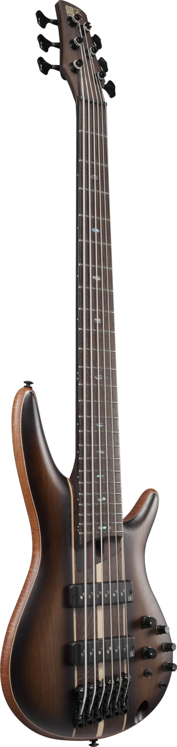 Amazon.com: Ibanez Premium SR1356B 6-string Bass Guitar - Dual