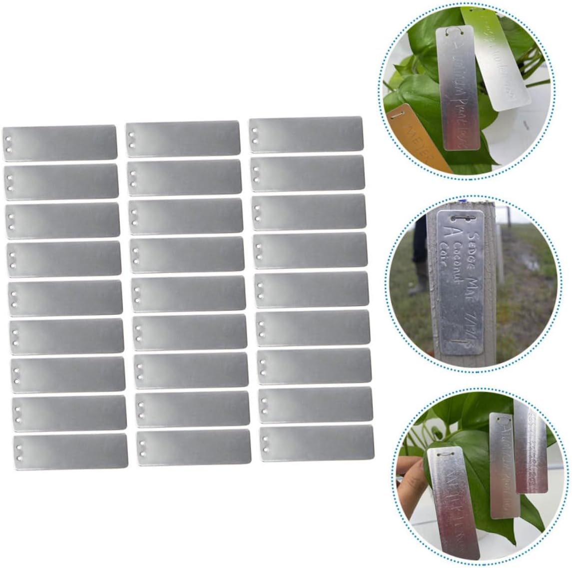 Totority 100pcs Metal Plant Labels Reusable Garden Plant Name Tags for Indoor and Outdoor Pots Succulent Markers Sturdy Aluminum Markers for Gardening