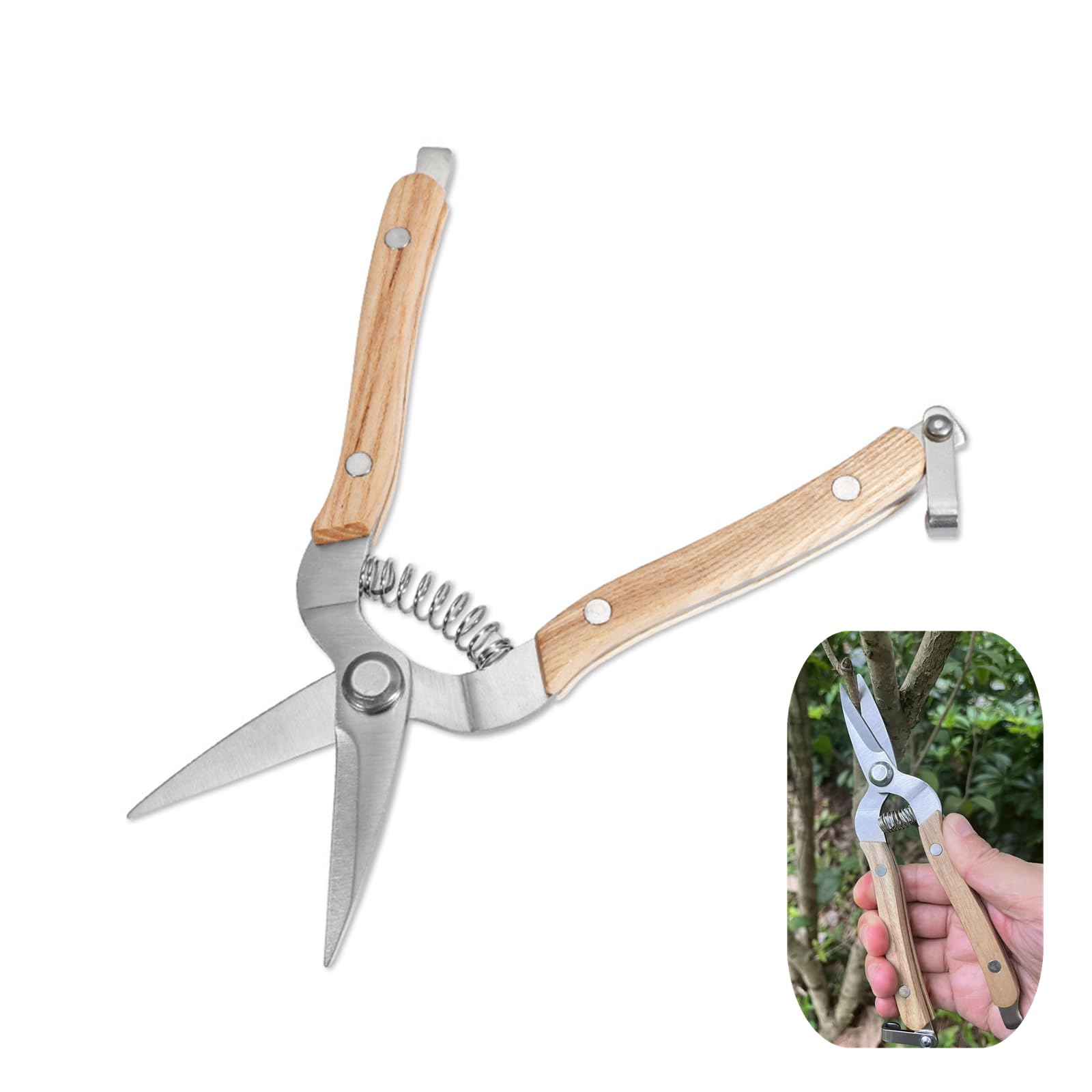 Garden Snip Professional Pruning Shear Plant Snip Stainless Steel Garden Shears Scissors with Wooden Handle for Arranging, Trimming Plants, Harvesting Fruit, Vegetables