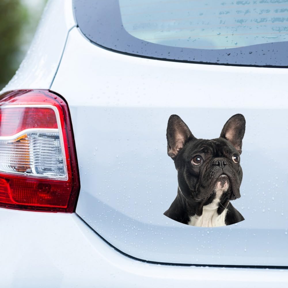 2pcs French Bulldog Vinyl Decal 4.33"x5.91", Adorable Bat-Ear Dog Sticker for Car, Window, Laptop, Urban Pet Decor |#S30167 - Image 4