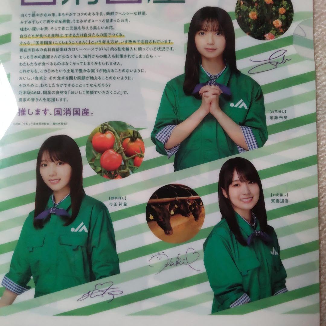 Amazon.co.jp: 乃木坂46 JAクリアファイル : 文房具・オフィス用品