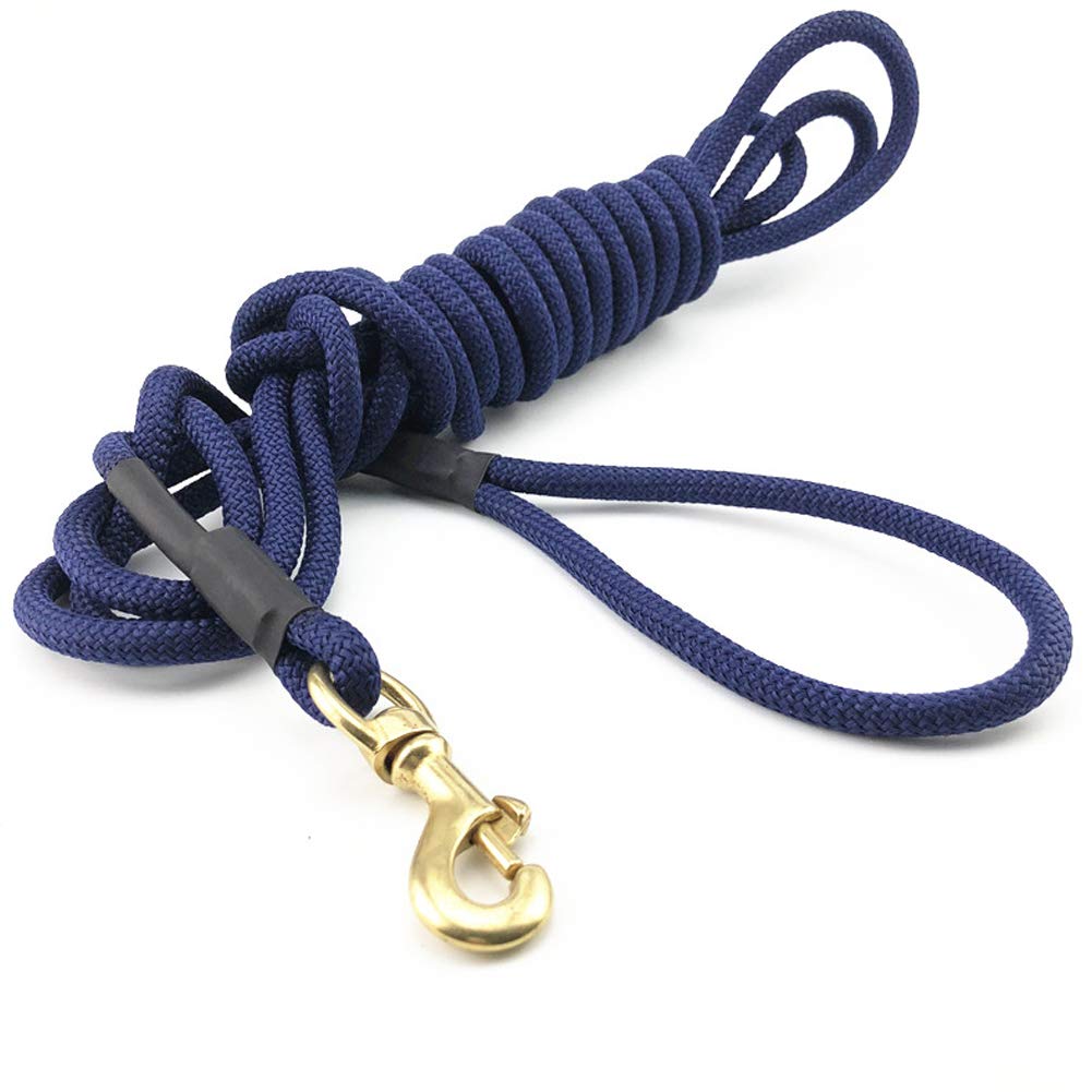 Chien en Nylon tressé Laisse de Suivi Moyen Grand Chien Golden Retriever Formation Corde Ronde pour Animaux de Compagnie Forte Laisse en Laisse Formation Corde de Chien 5 m, 10 m-blue-10M
