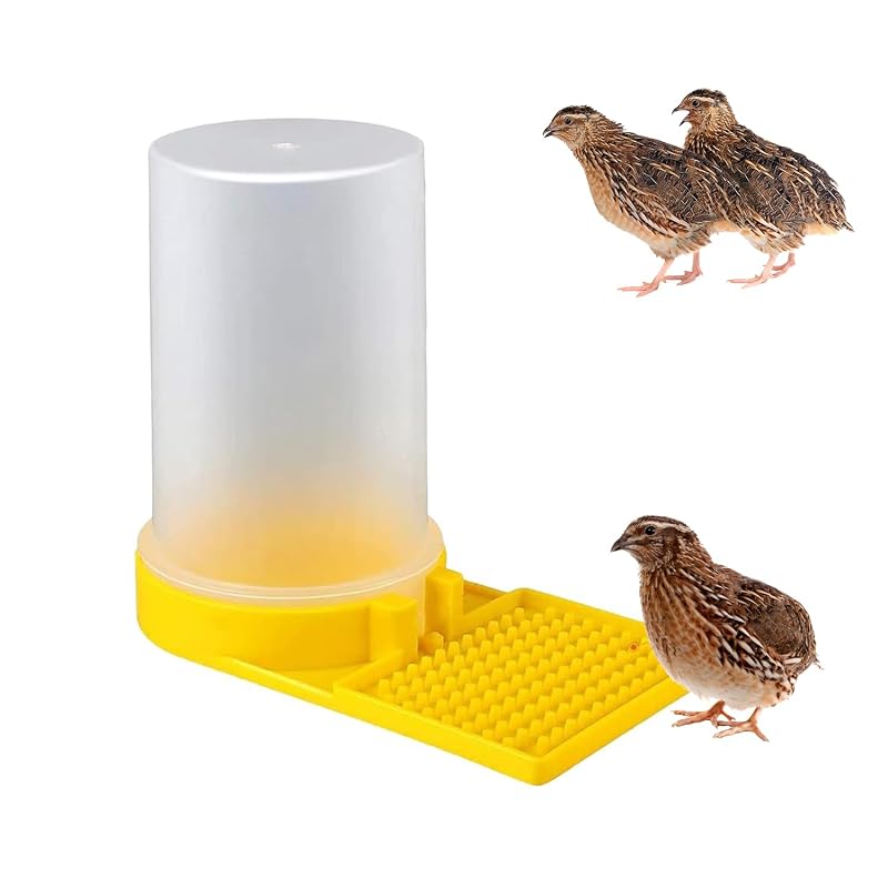 Bebedouro para codornas e aves jovens de plástico transparente amarelo JINJUMEI A00085